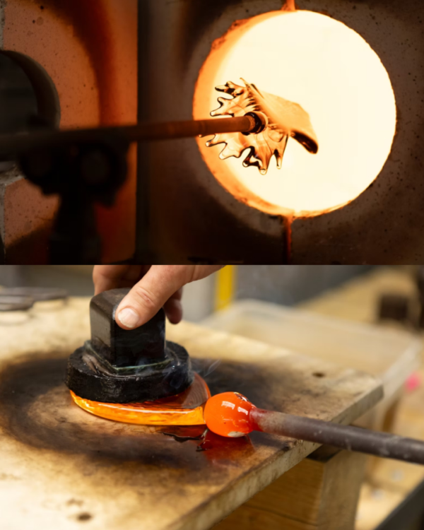 petalume elite bohemia